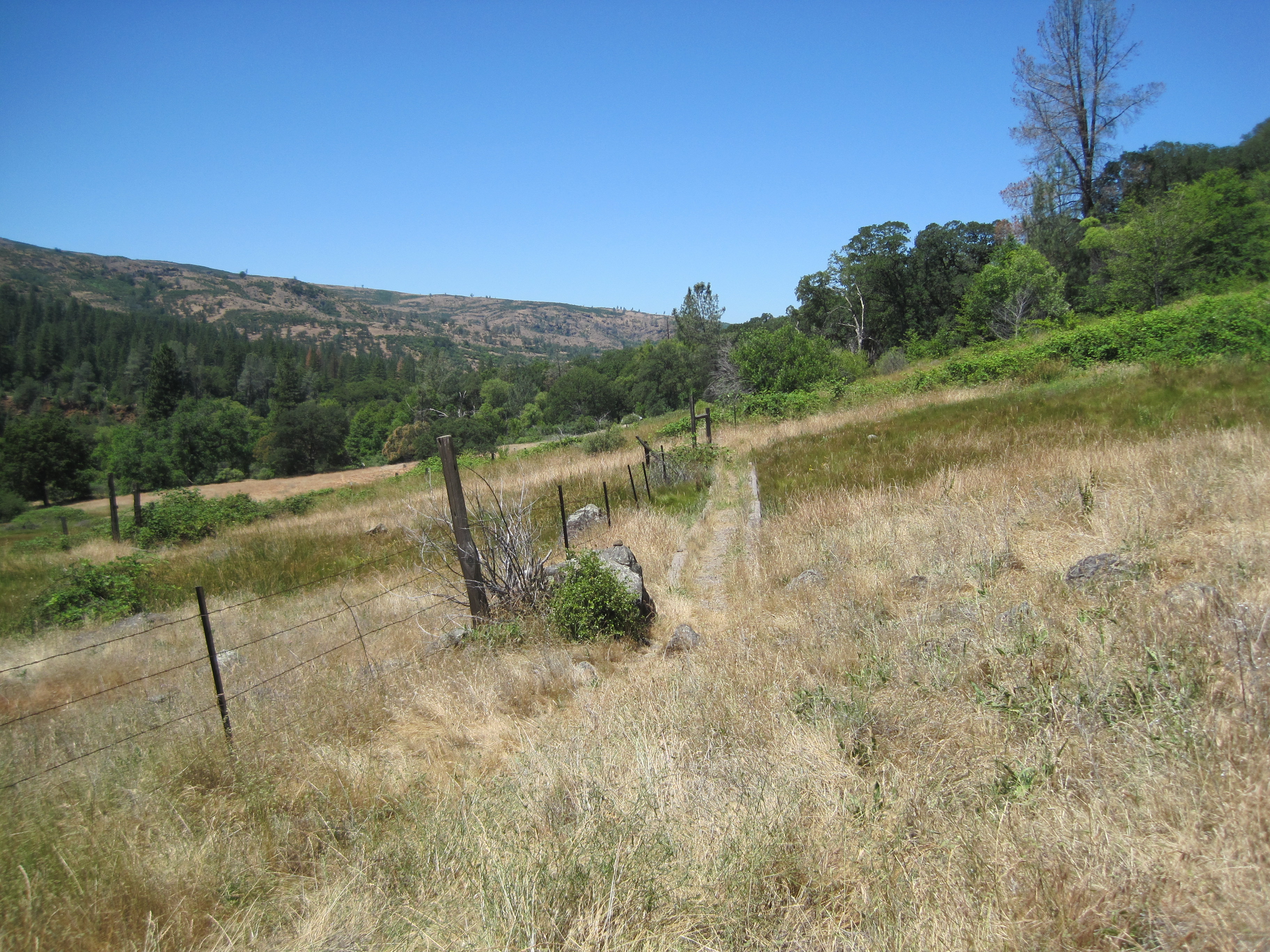 Open pasture with fence line at the edge of Ishi Wilderness, California, with rolling foothills in the background