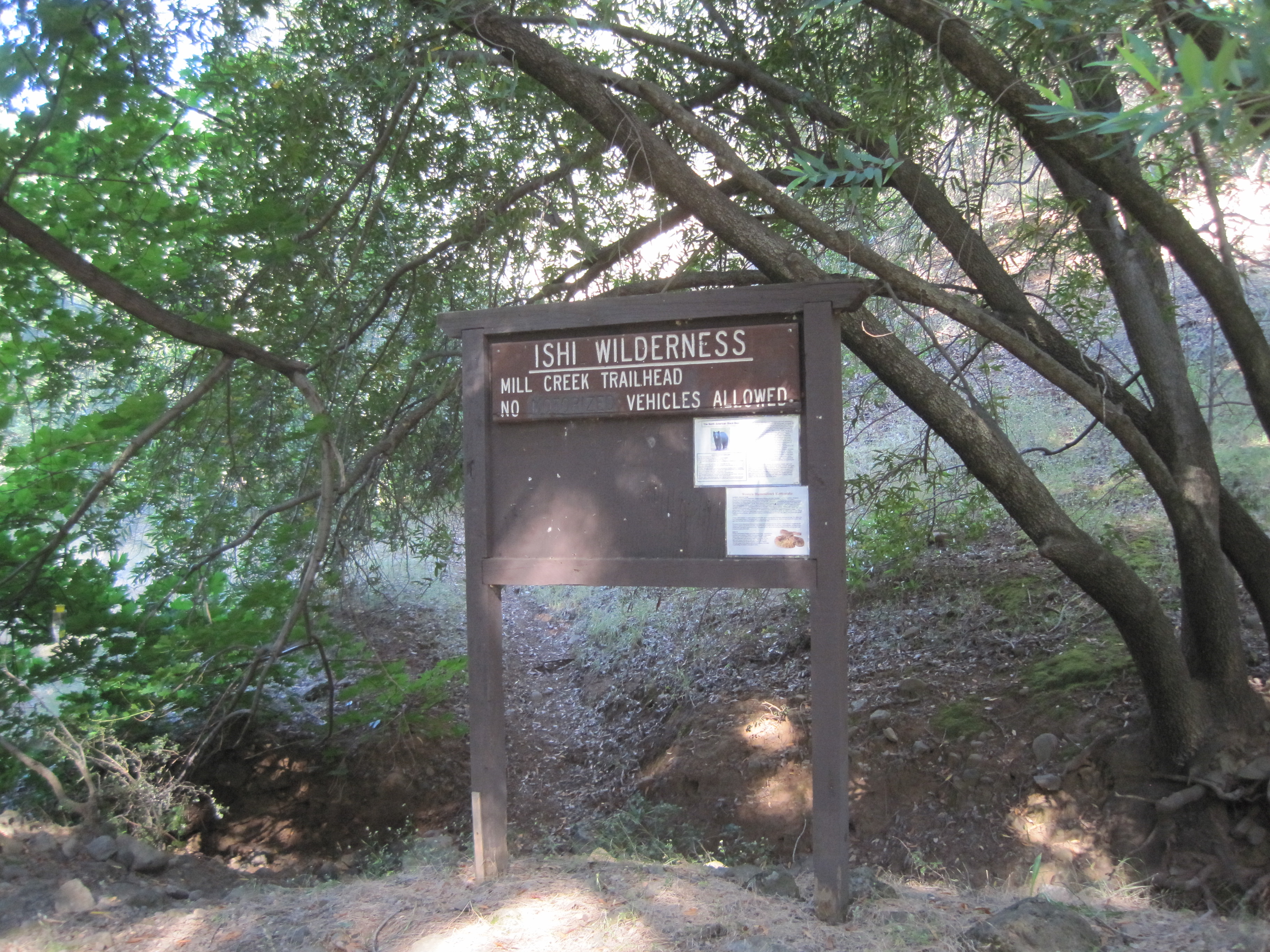 Wooden trailhead sign reading Ishi Wilderness, Mill Creek Trailhead, No Vehicles Allowed, set among manzanita and oak